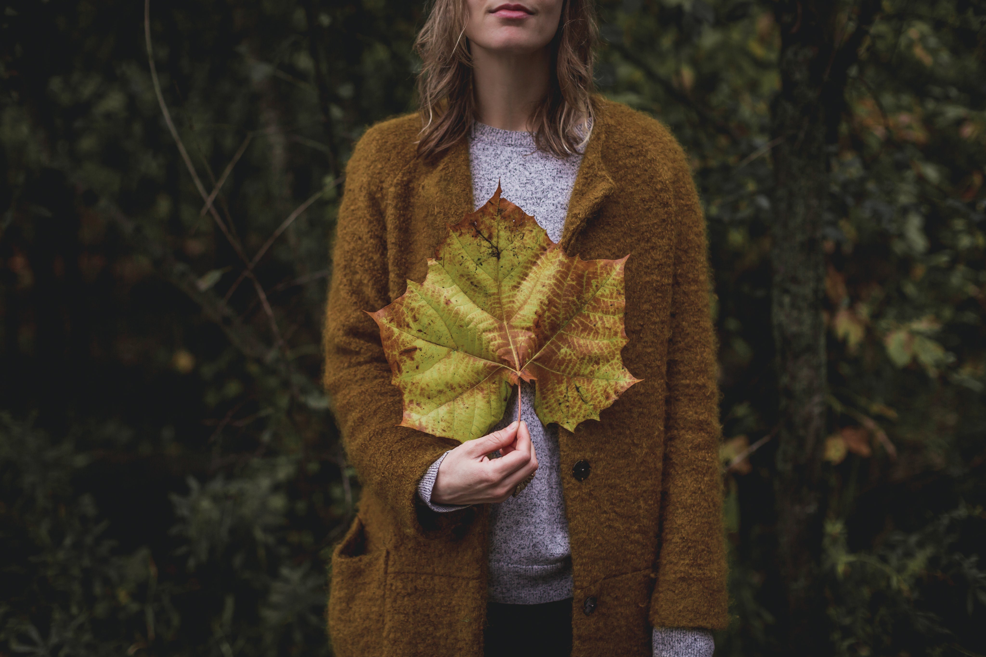 large-fall-leaf-in-hand.jpg